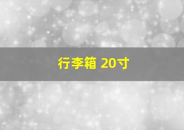 行李箱 20寸